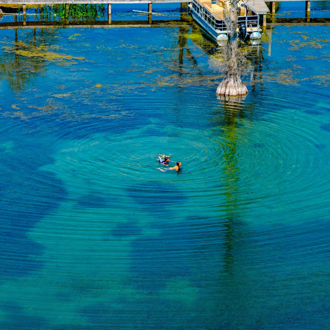 Guests swimming in Merritt's Mill Pond