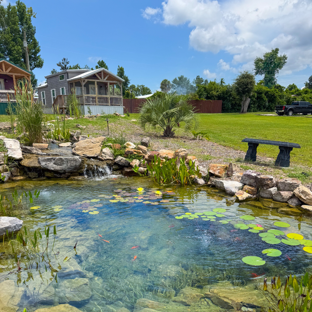 koi pond with luxury cabin in background, and park bench for viewing